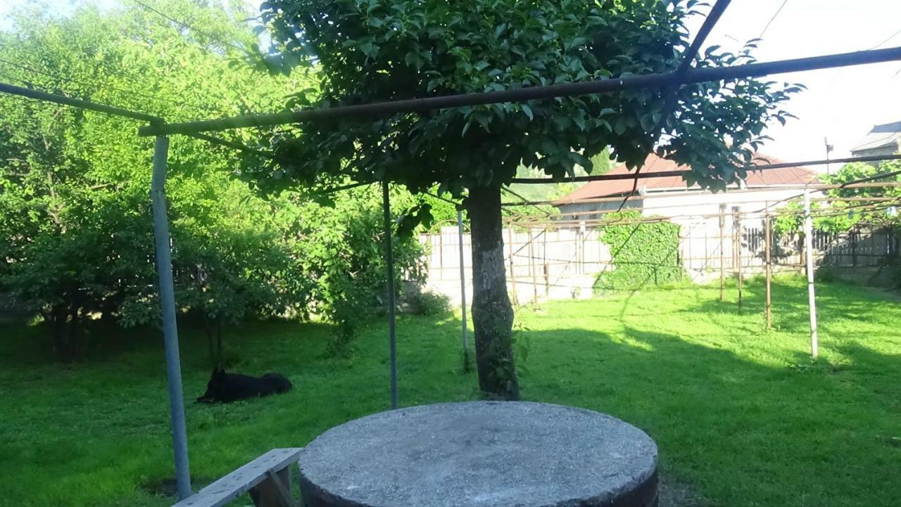 Guest House Ebralidze Mtskheta Luaran gambar